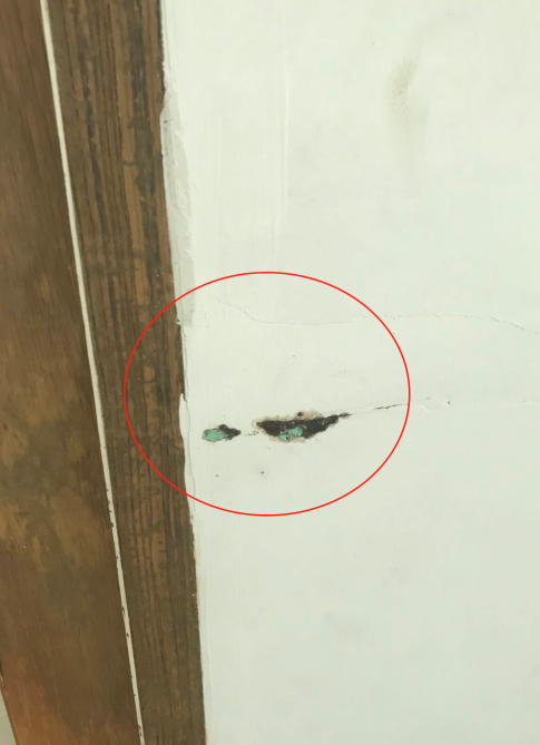潮州白蚁防治站