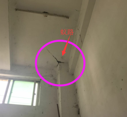潮州奎元哪里有防治白蚁